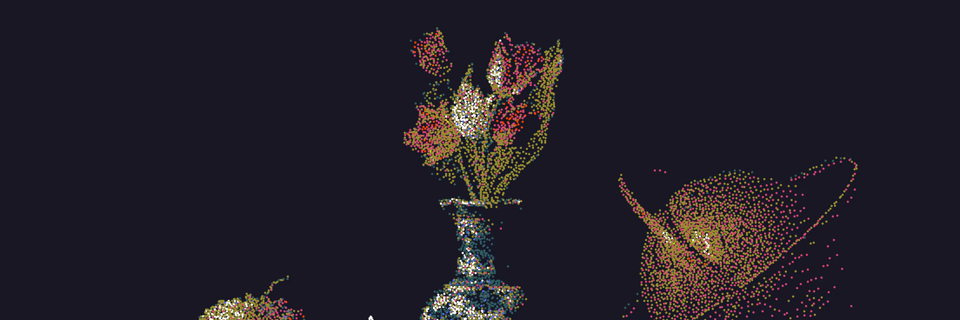Profile banner