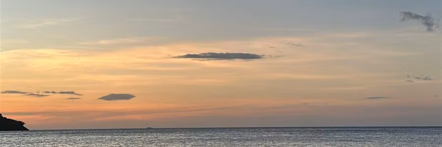 Profile banner
