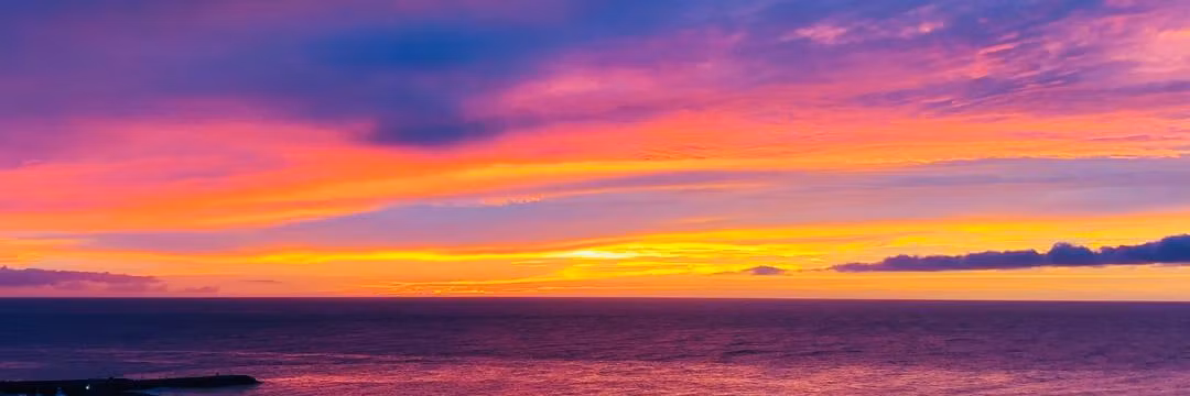 Profile banner