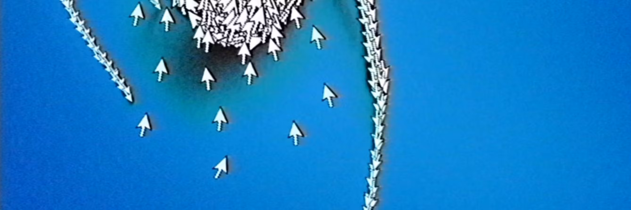 Profile banner