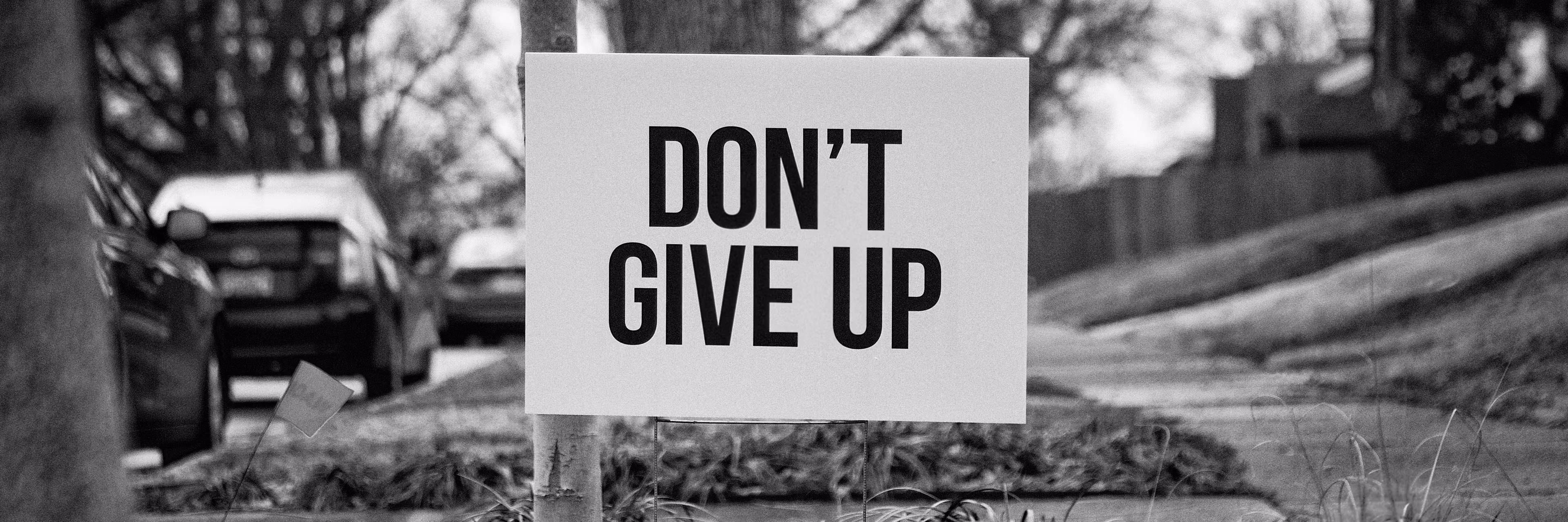 Profile banner