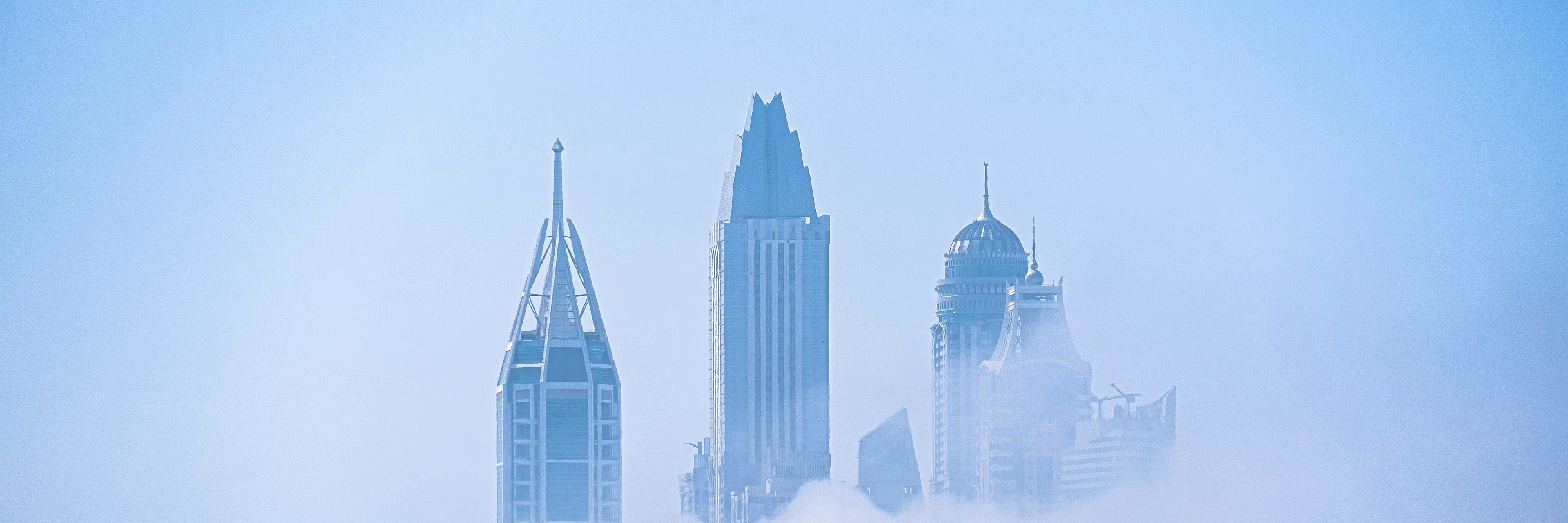 Profile banner