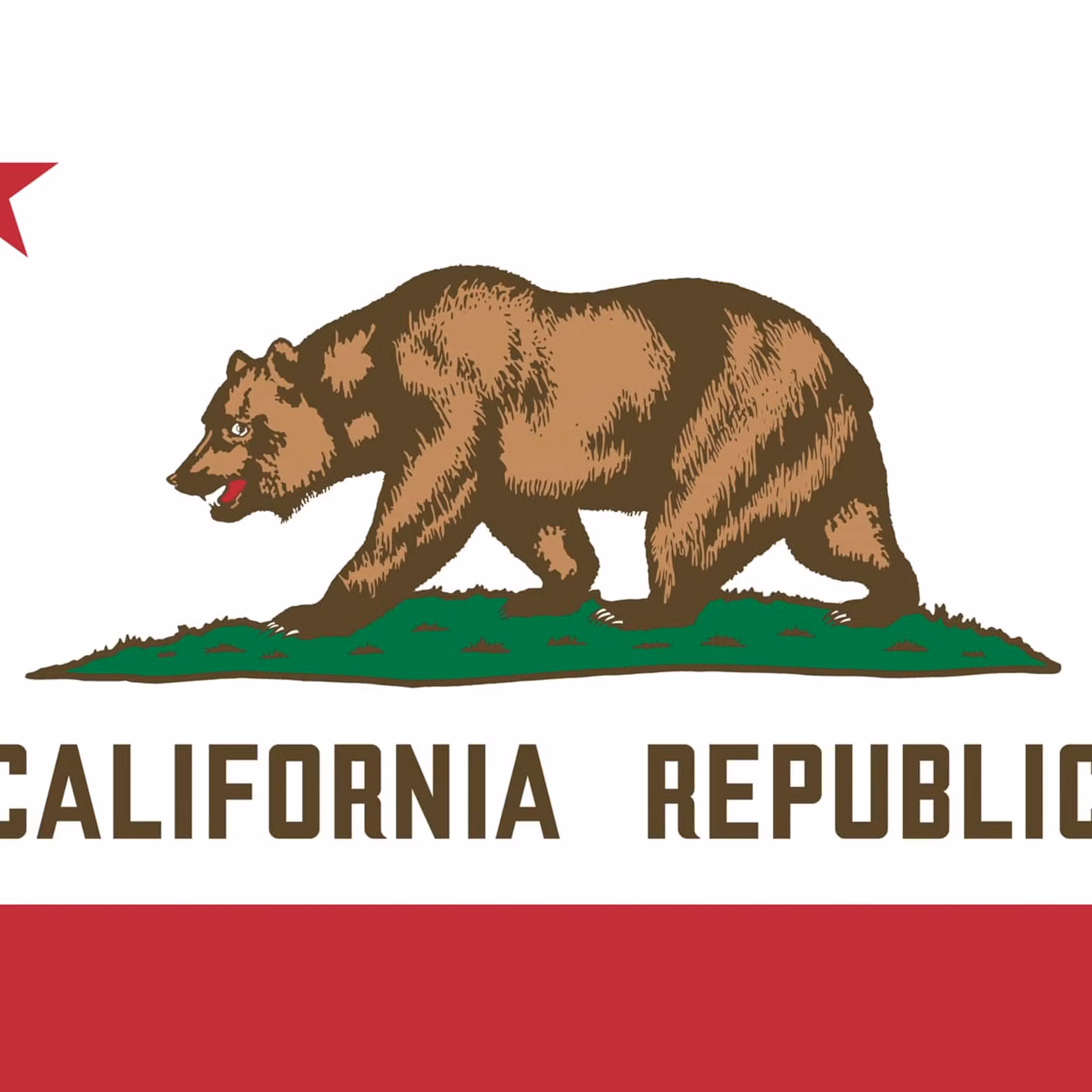 CA Campaign