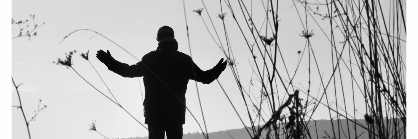 Profile banner