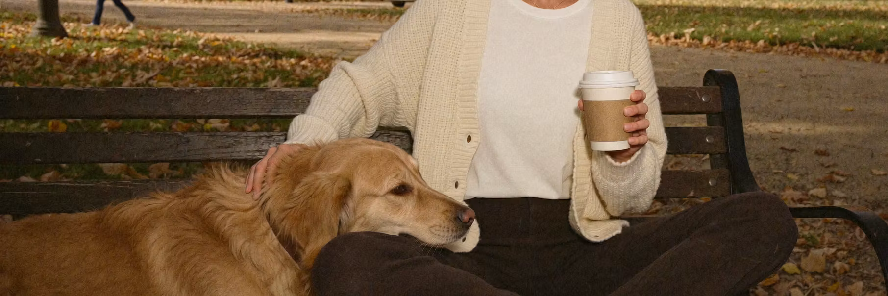 Profile banner
