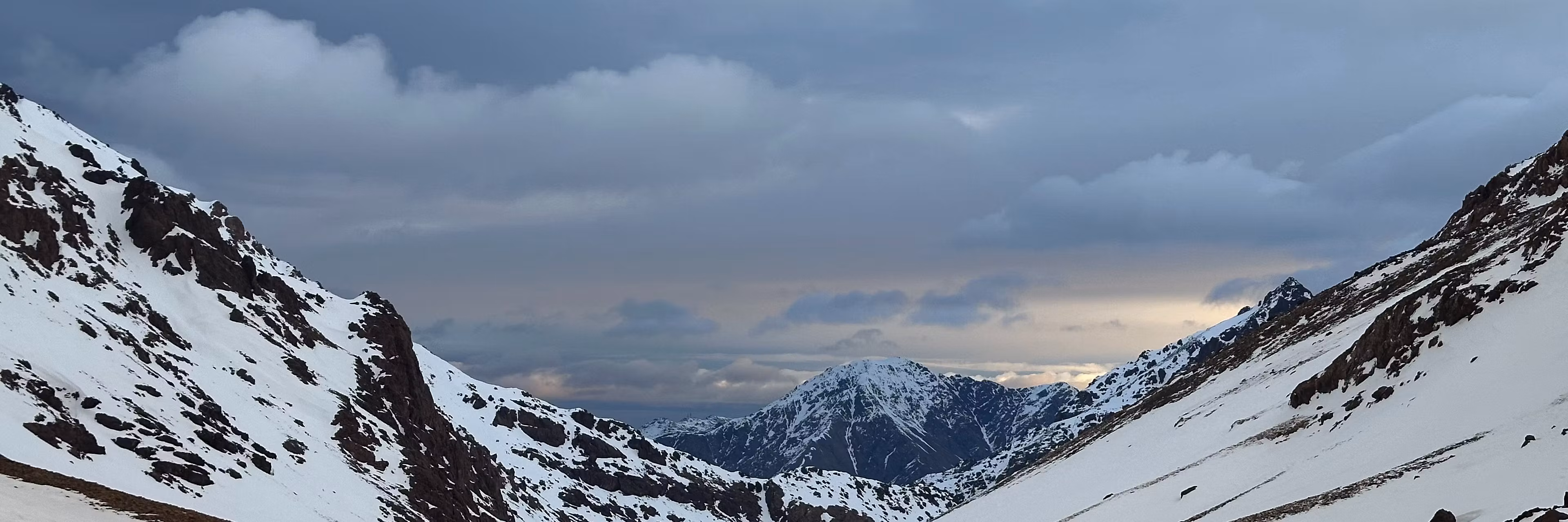 Profile banner