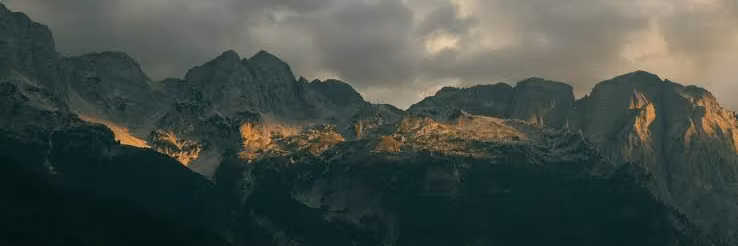 Profile banner
