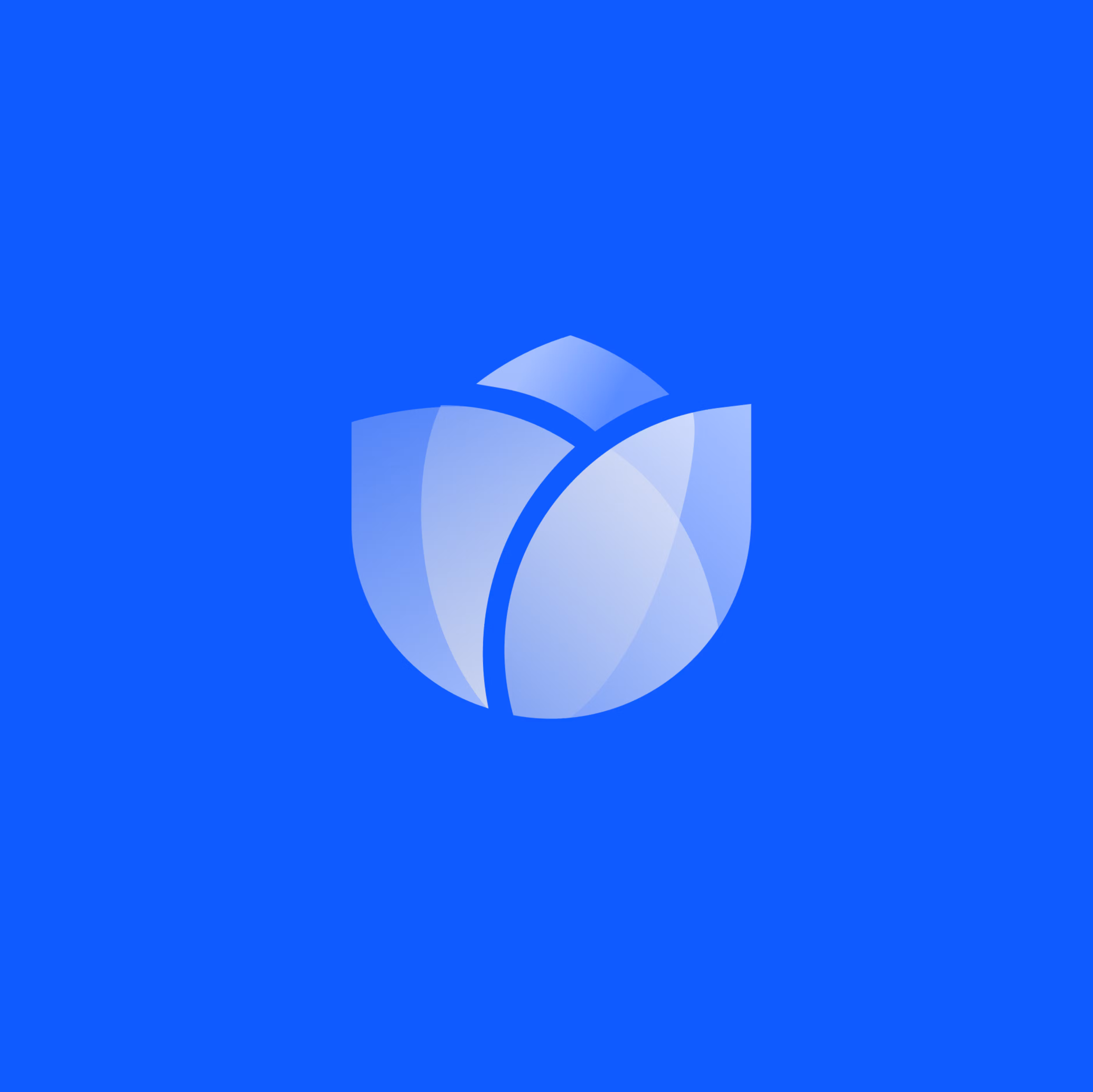 Bloom App