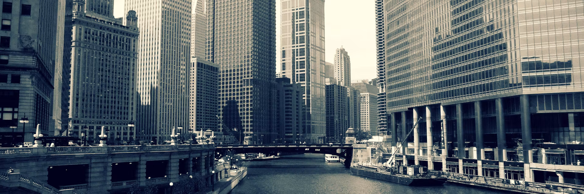Profile banner