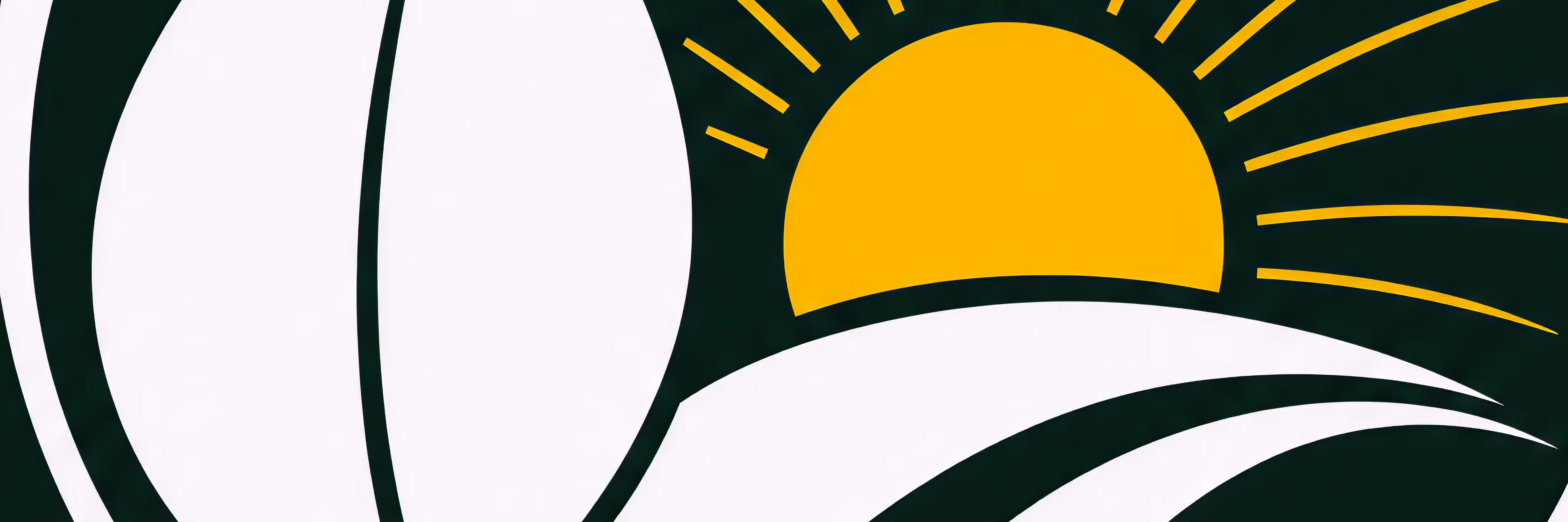 Profile banner