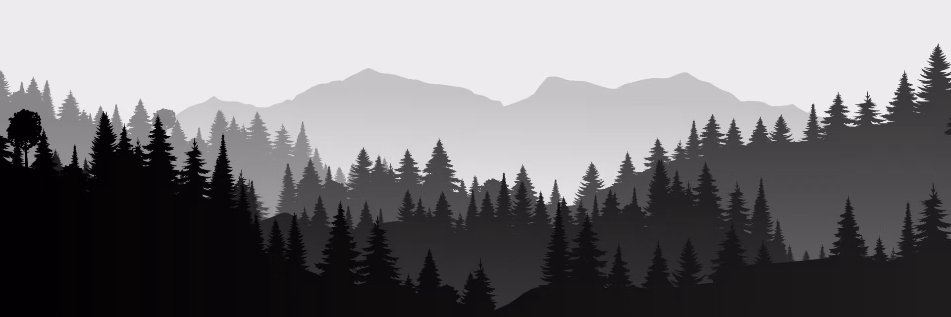 Profile banner