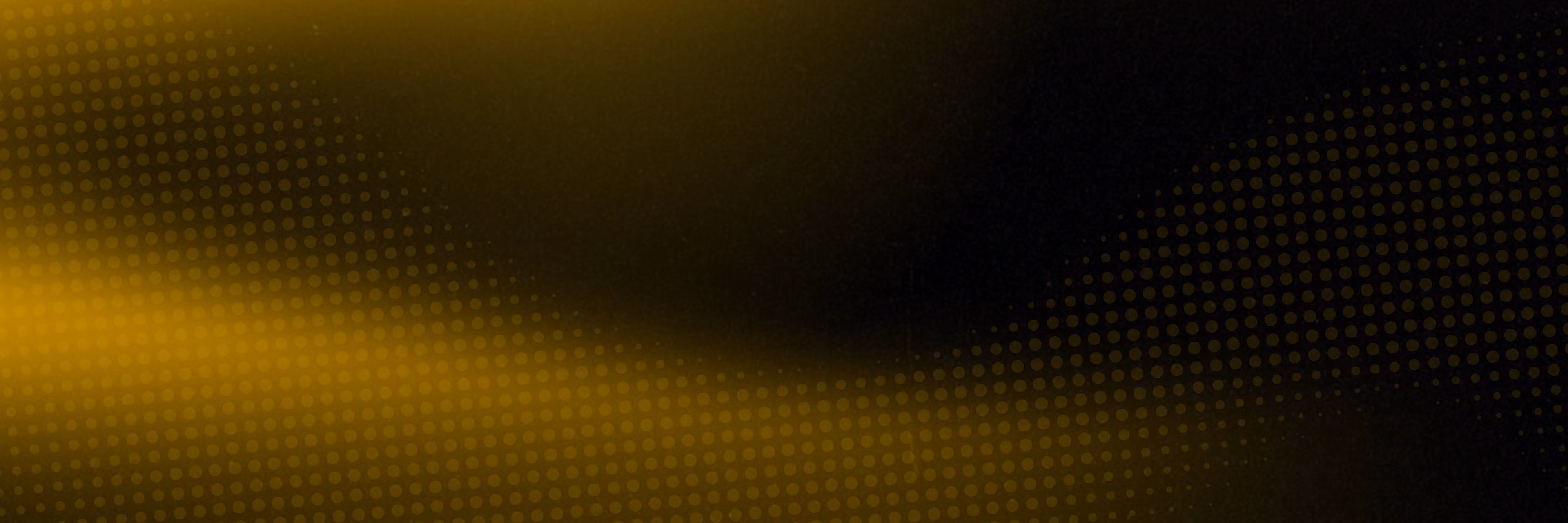 Profile banner