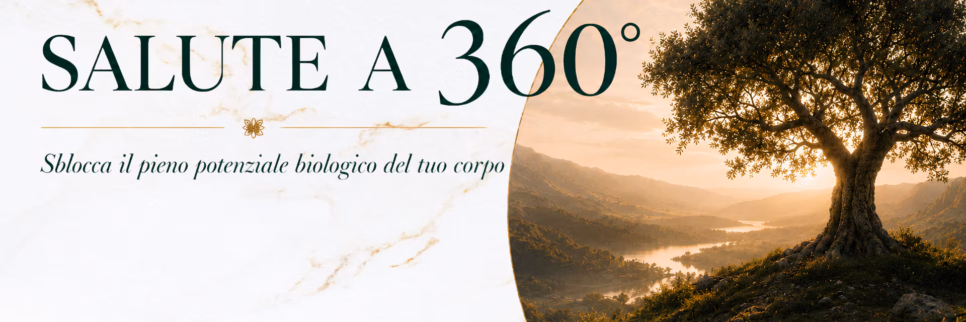 Profile banner