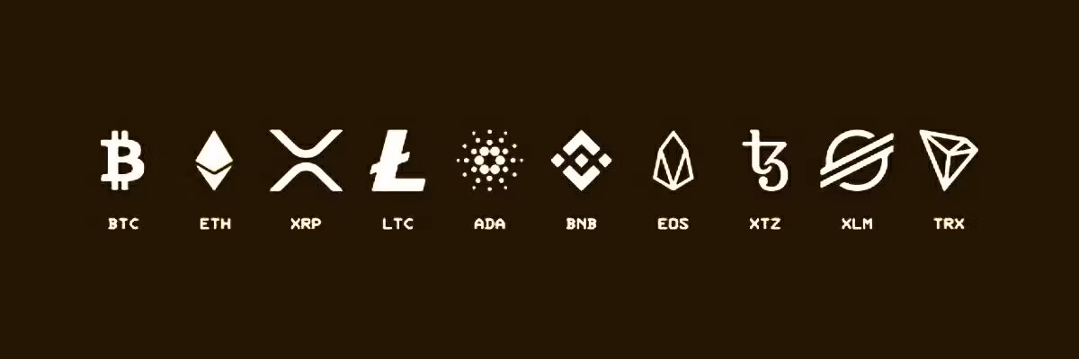 Profile banner