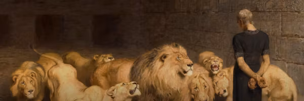 Profile banner