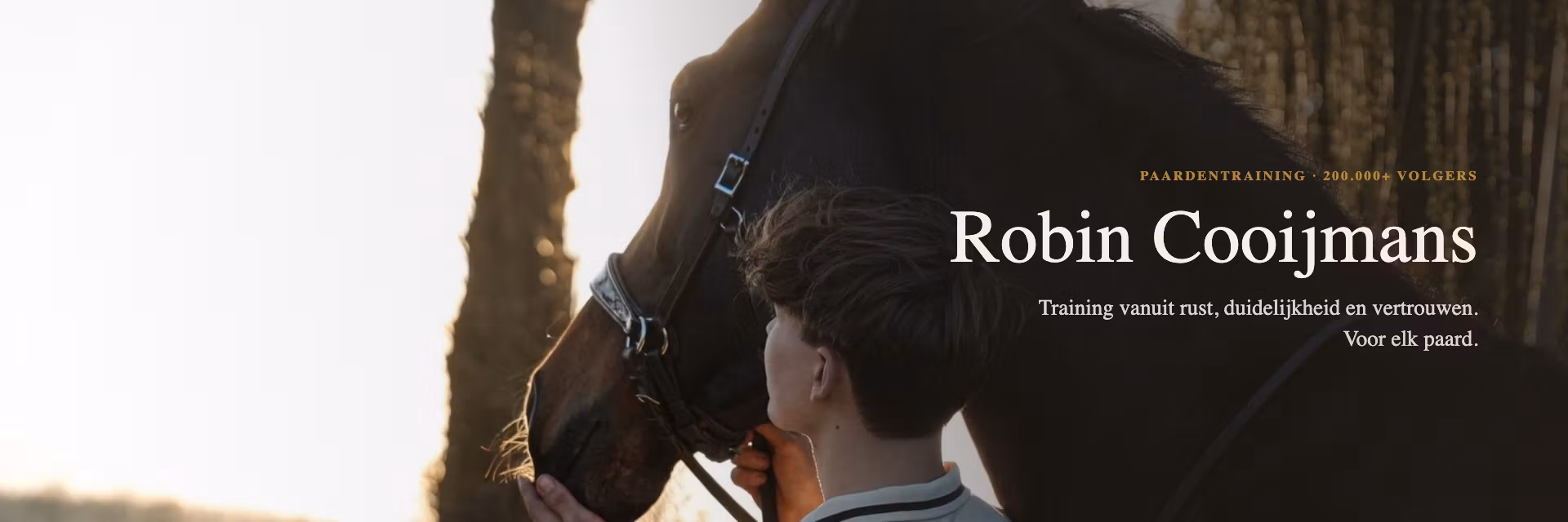 Profile banner