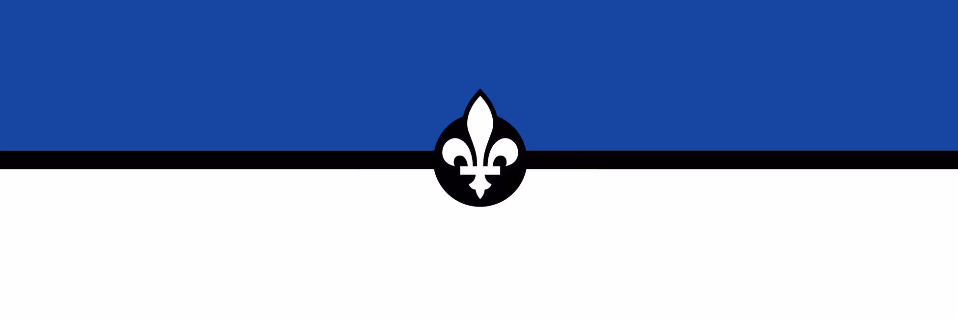 Profile banner