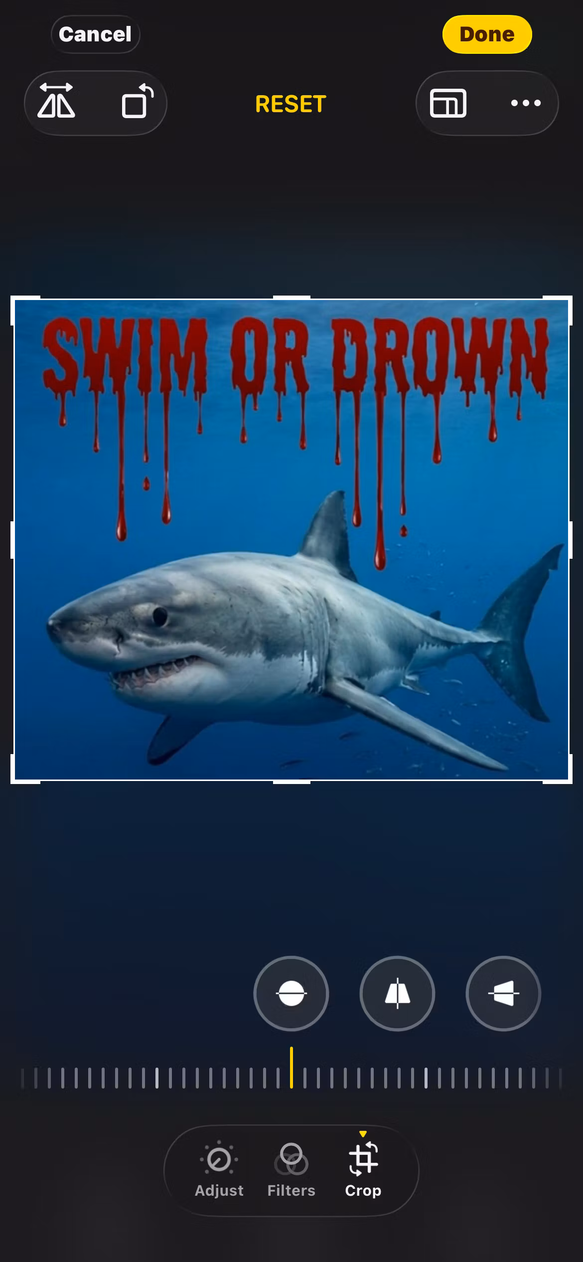 Swim or Drown 🩸🩸🔥🔥