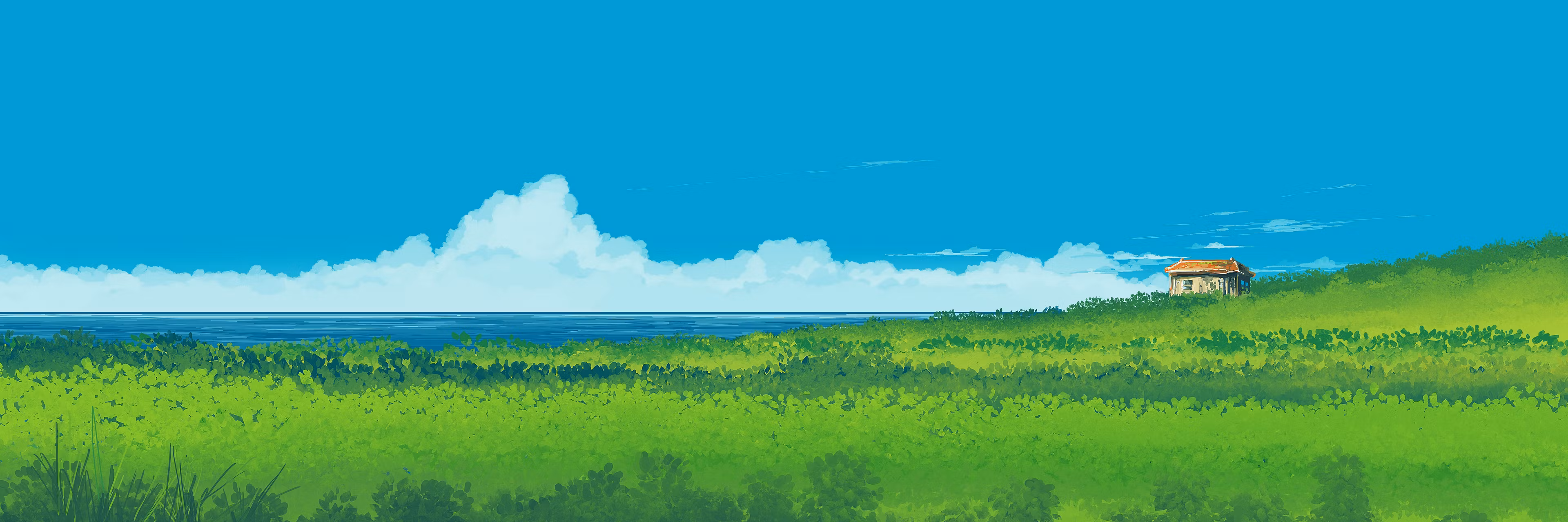 Profile banner