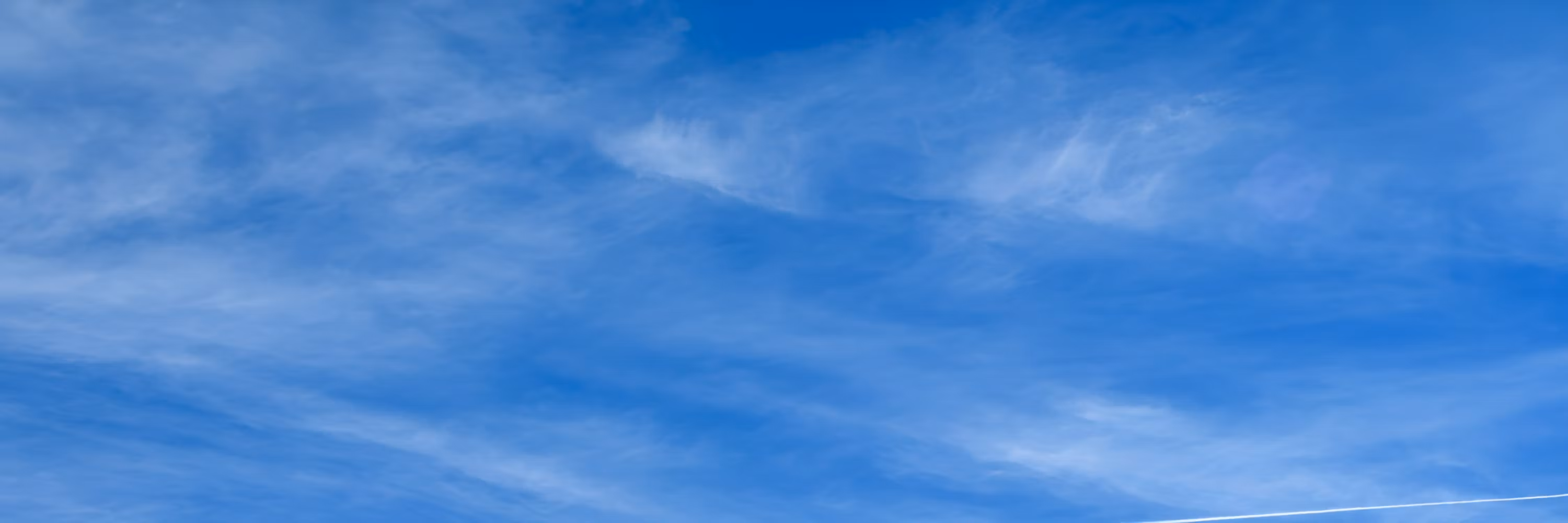 Profile banner