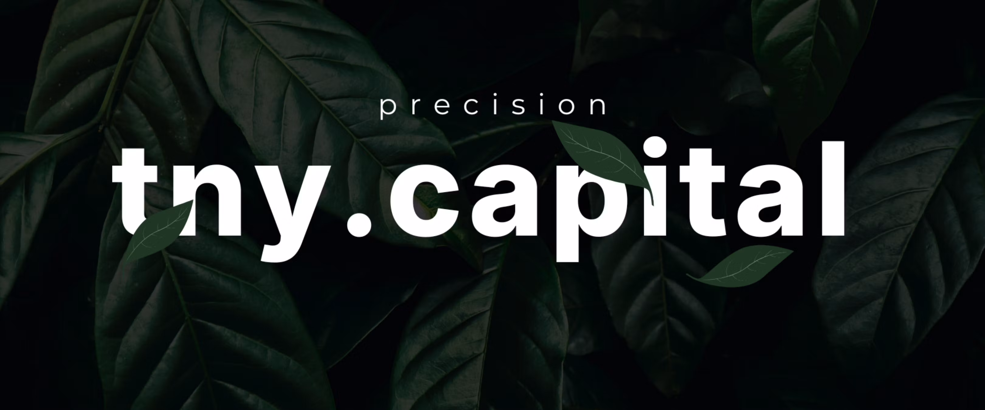 tny.capital