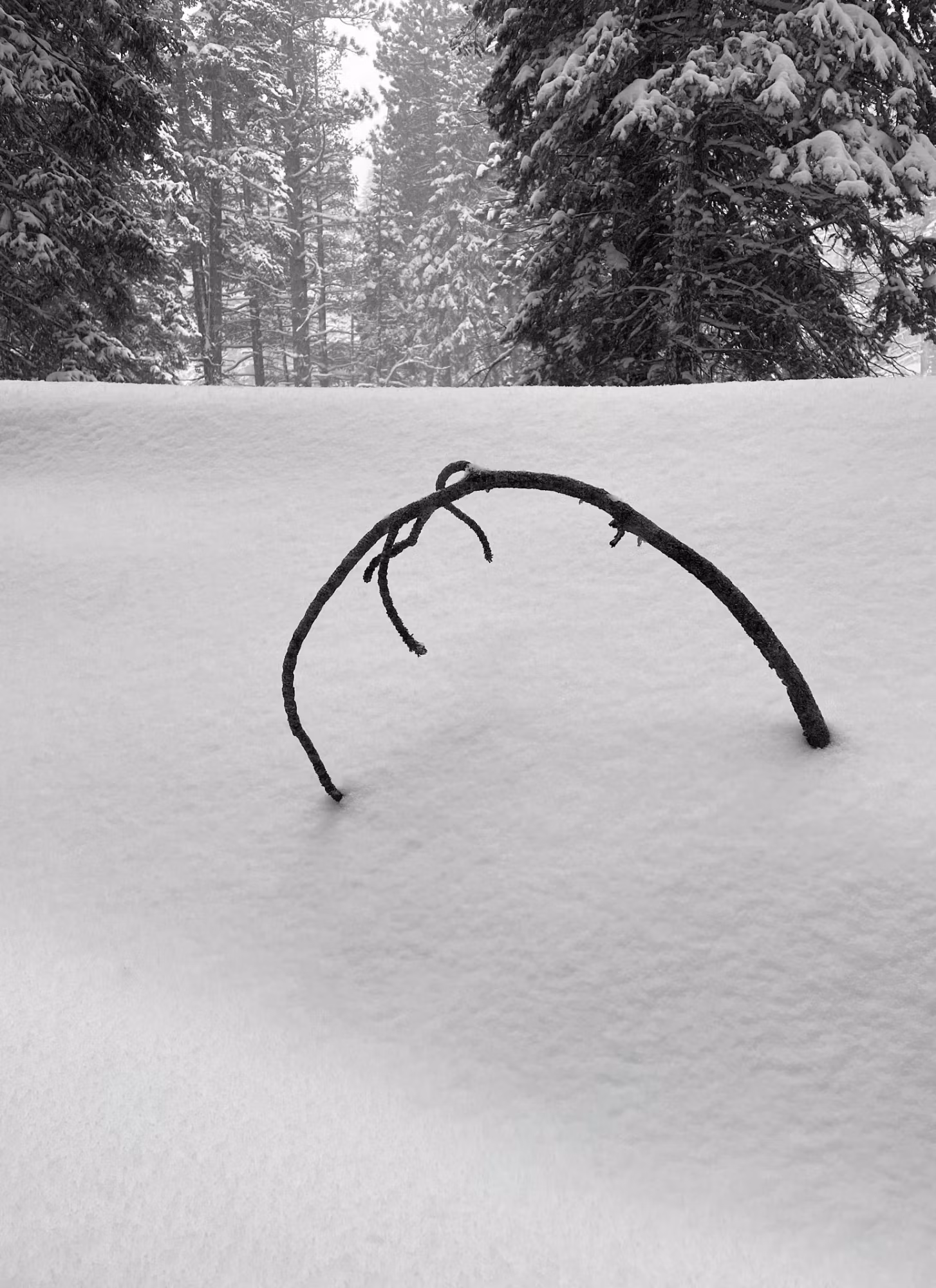 Snow arch