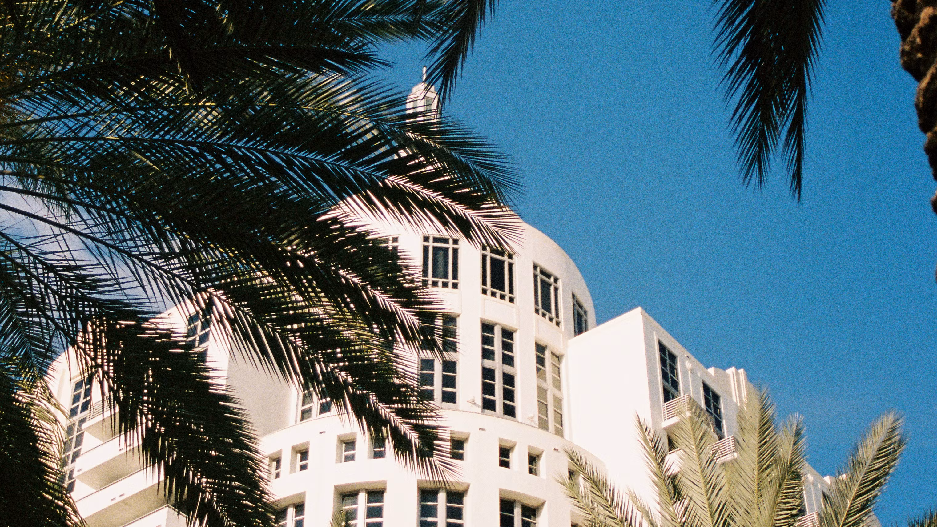 Florida LLC Guide