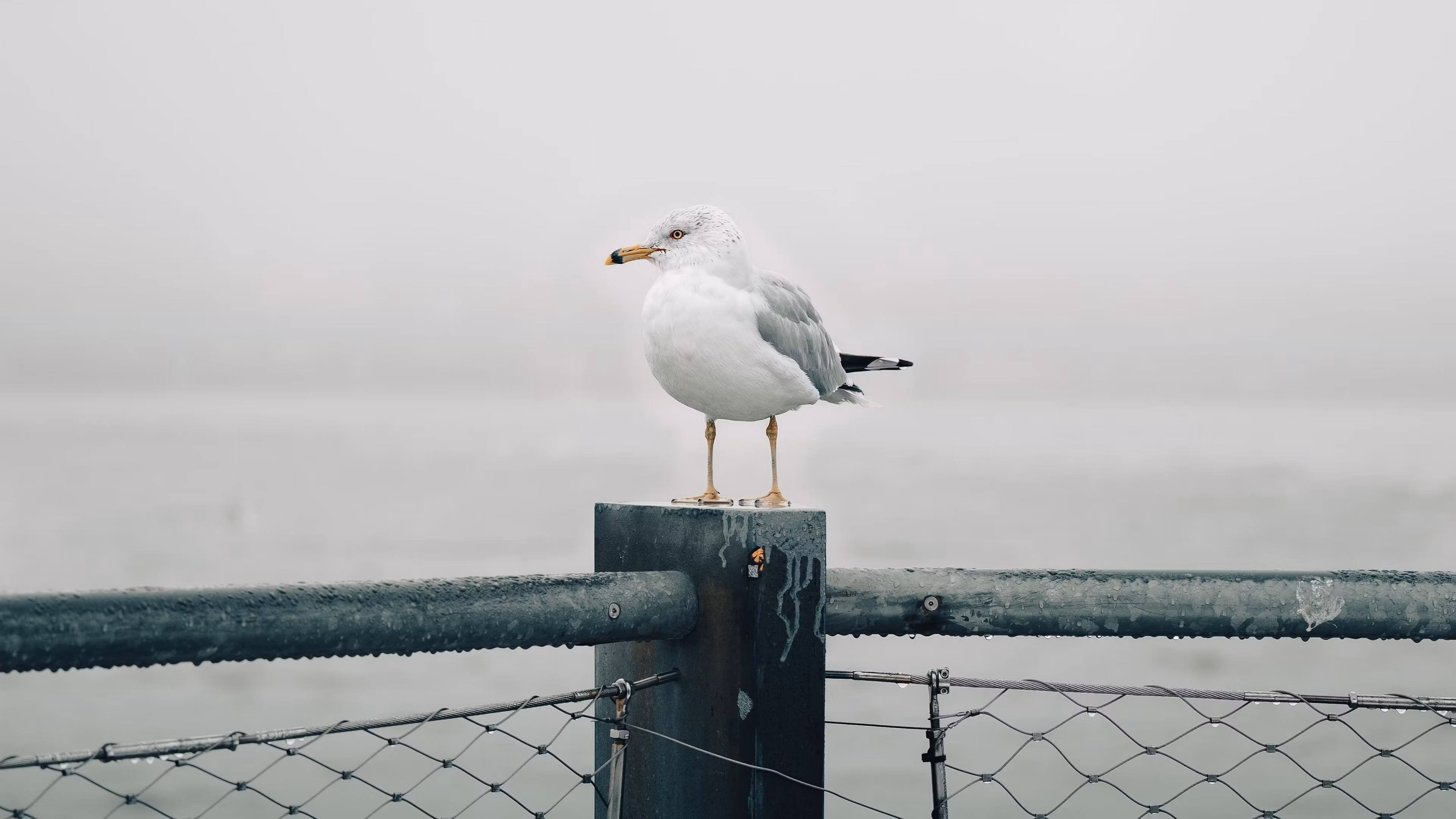 New Jersey LLC Guide