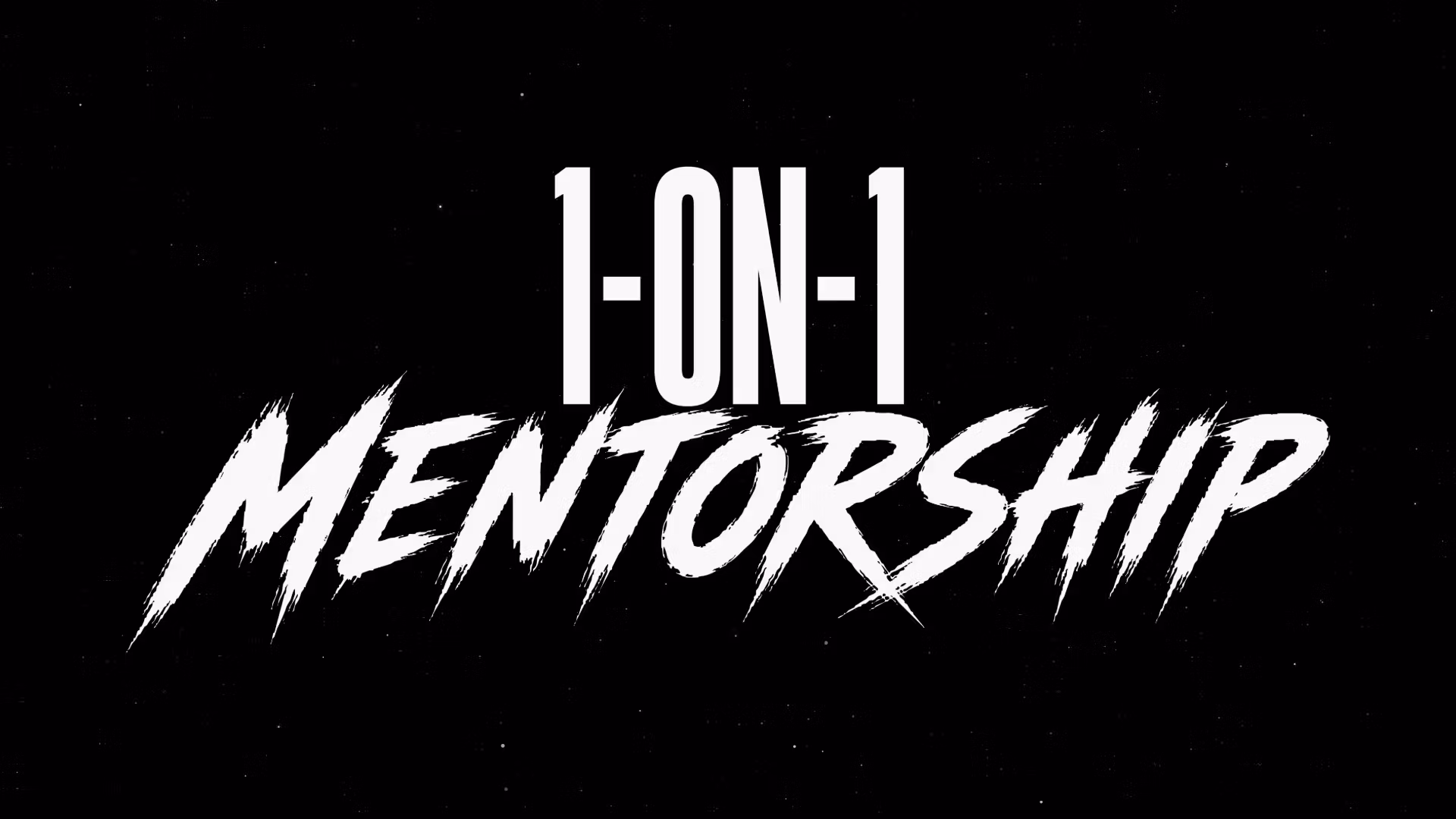 1 on 1 Mentorship