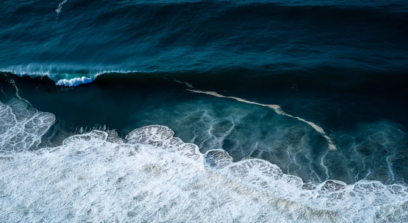 Hightidesocial