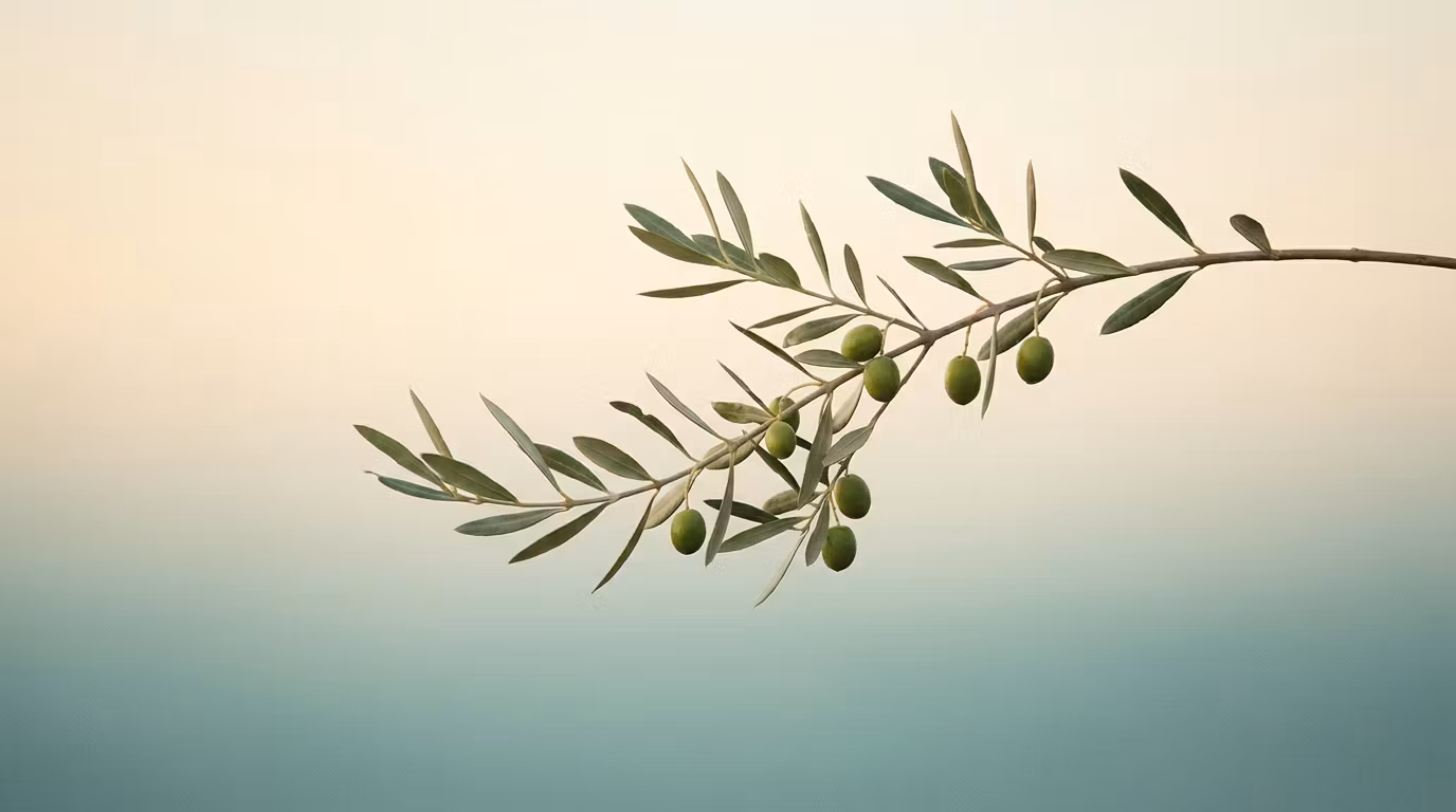 The #1 Rule for Peaceful Co-Parenting (Free Guide)