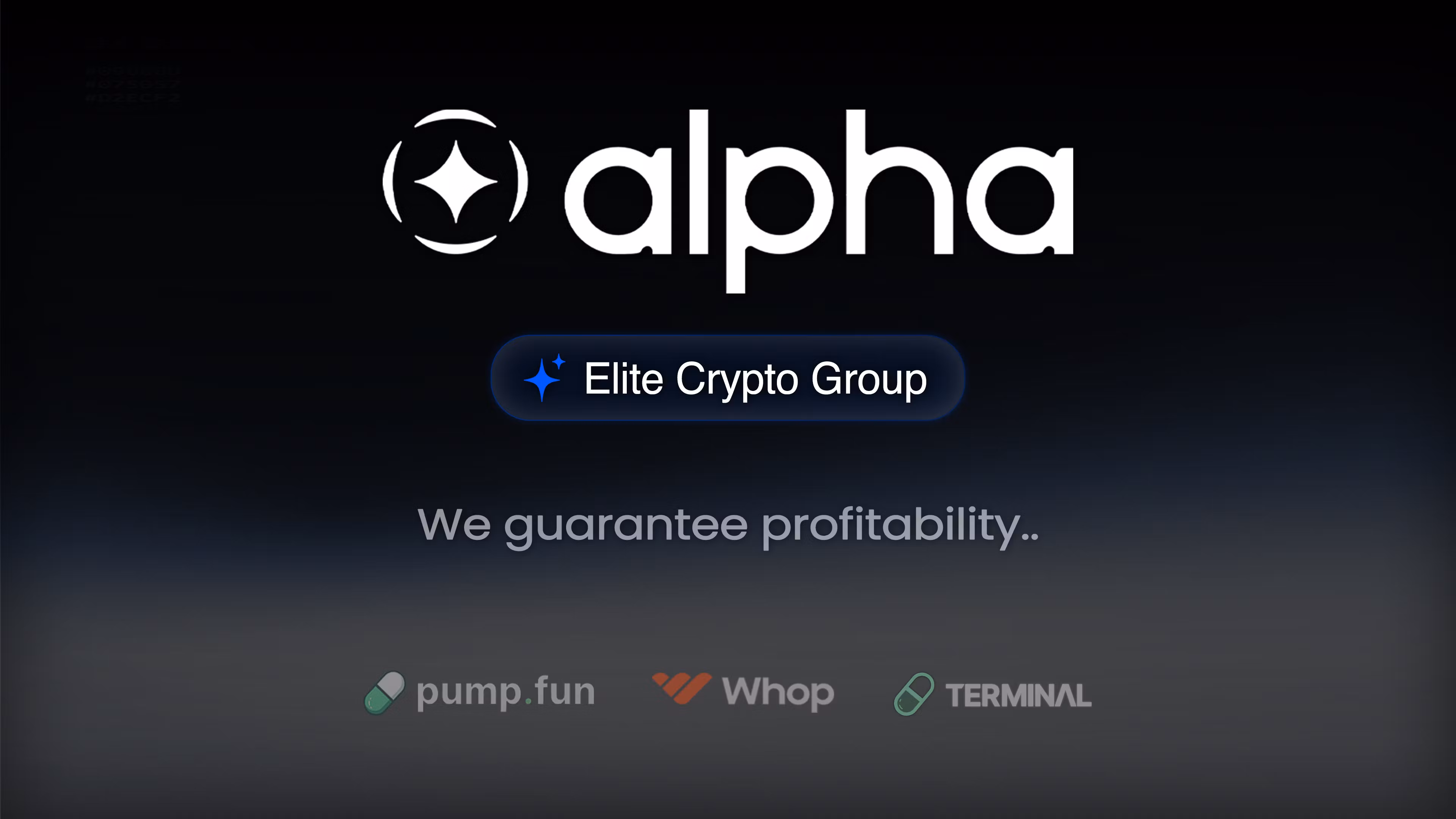 The Alpha Club (Elite Group)