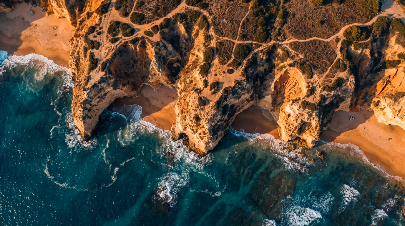 DroneAcademy All-Access