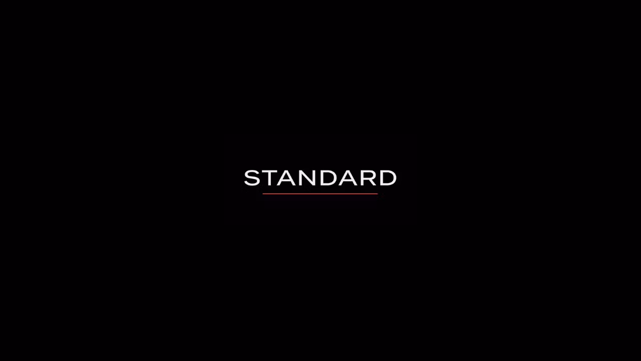 STANDARD MENTORSHIP 6 MESES