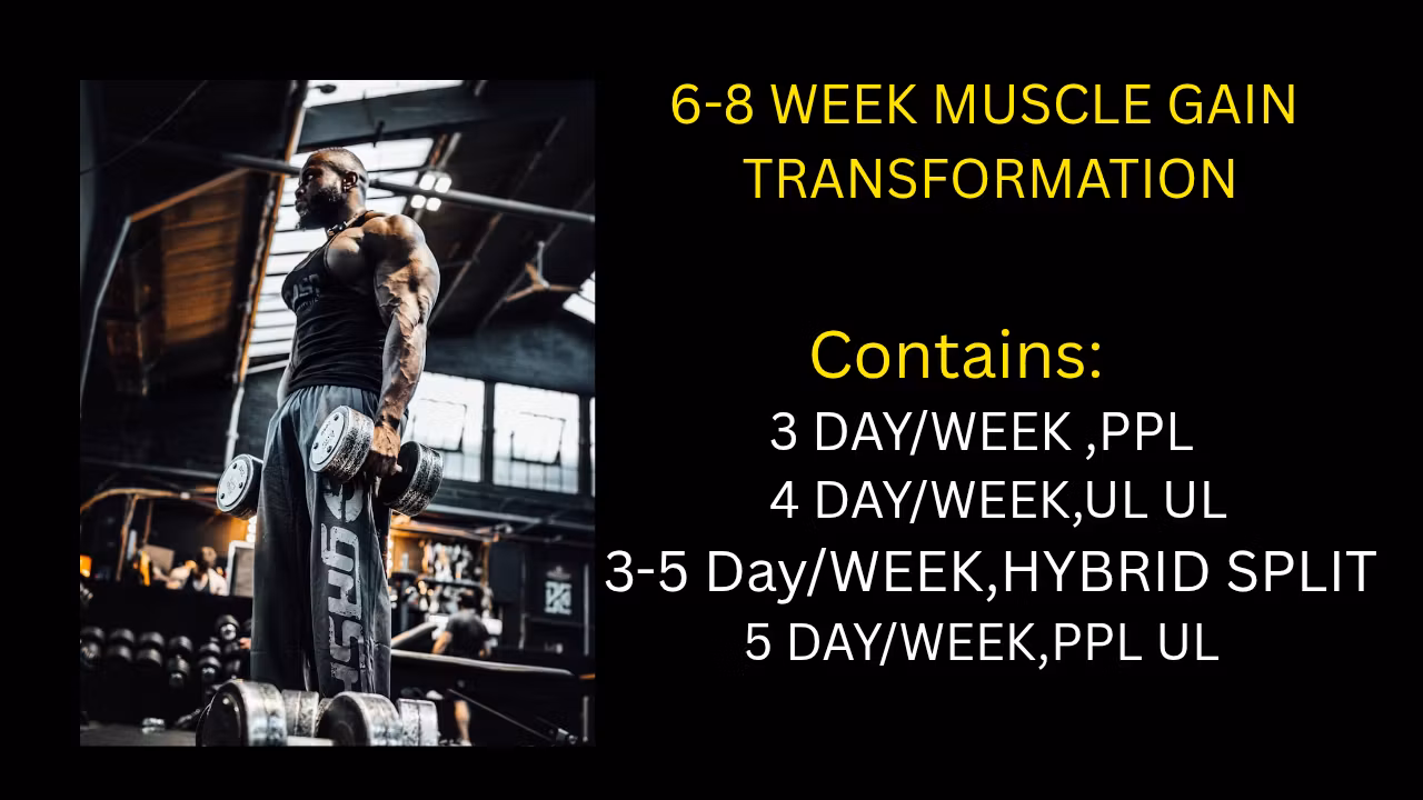 The Muscle Gain System