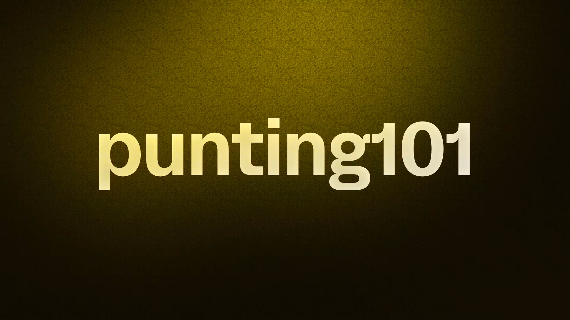 punting101