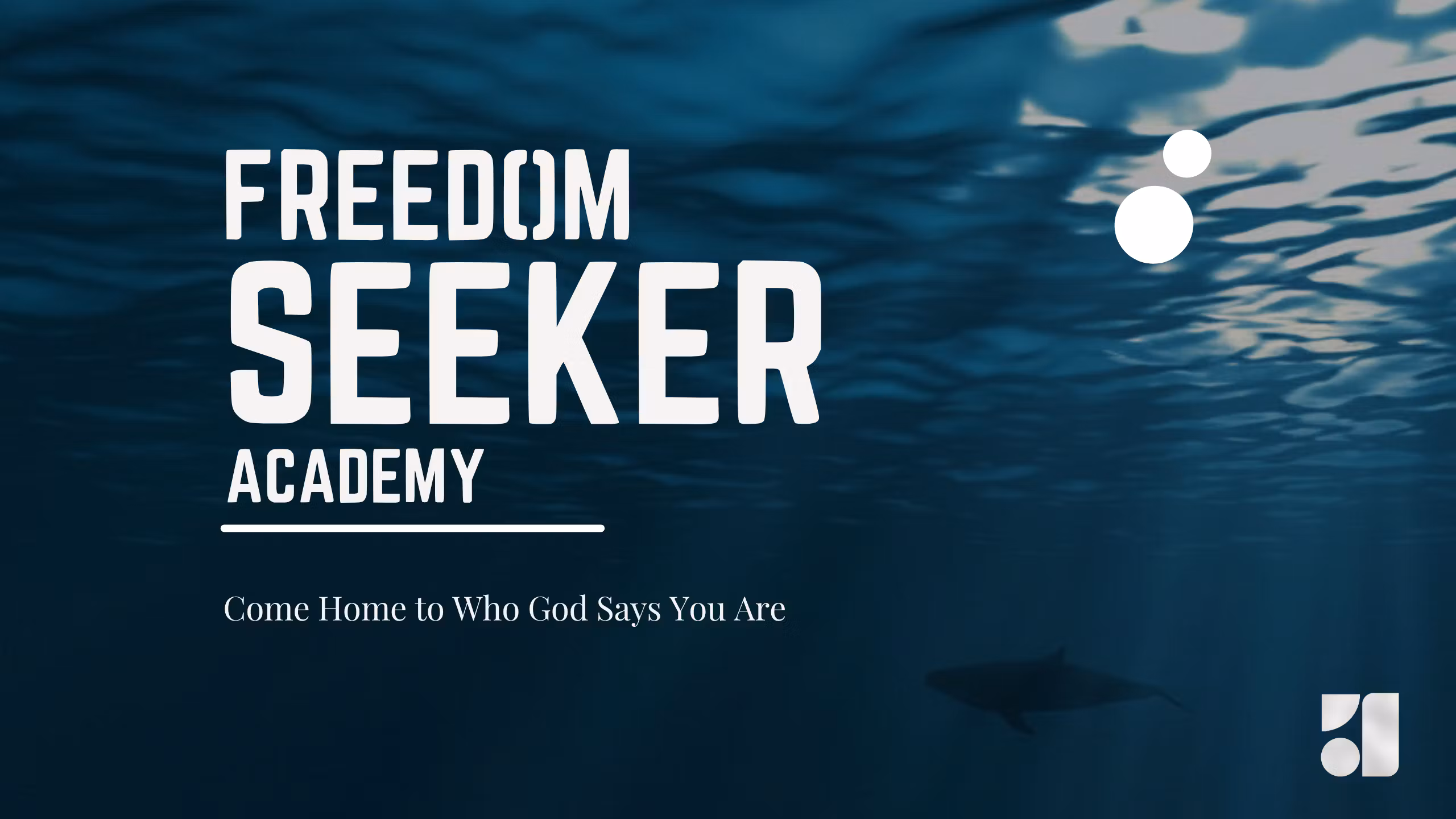 Freedom Seeker