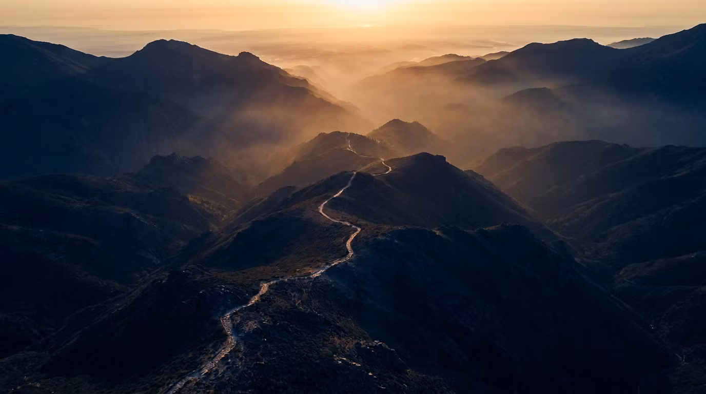 The Path