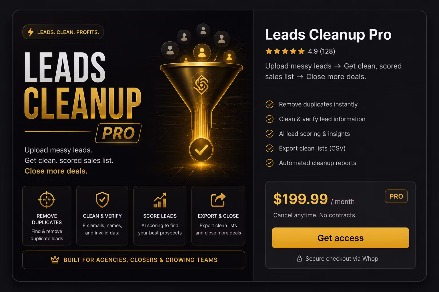 Lead Cleanup OS Pro