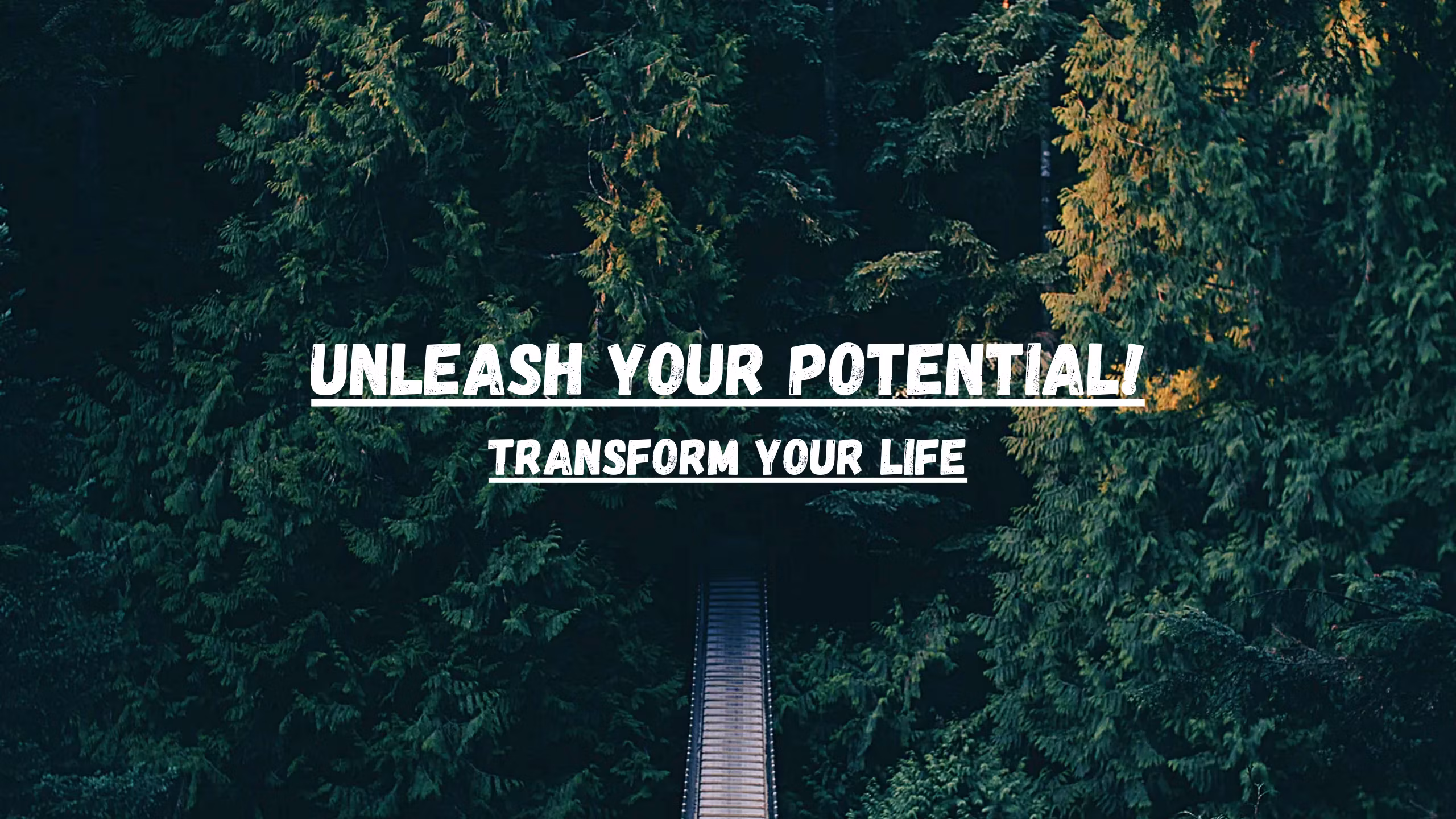 TransformYourLife 