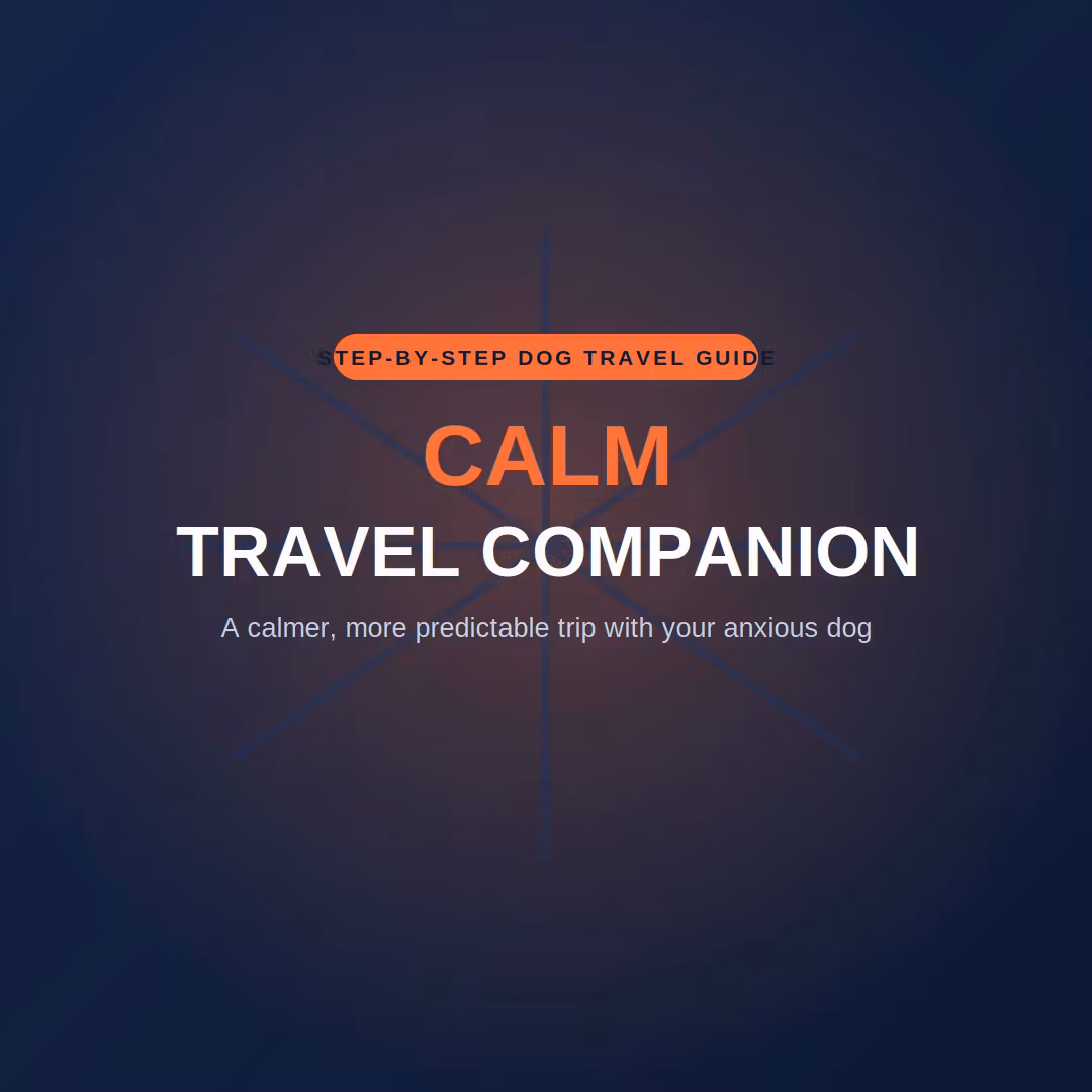 Dog Owners Traveling Calmly With Anxious Pets