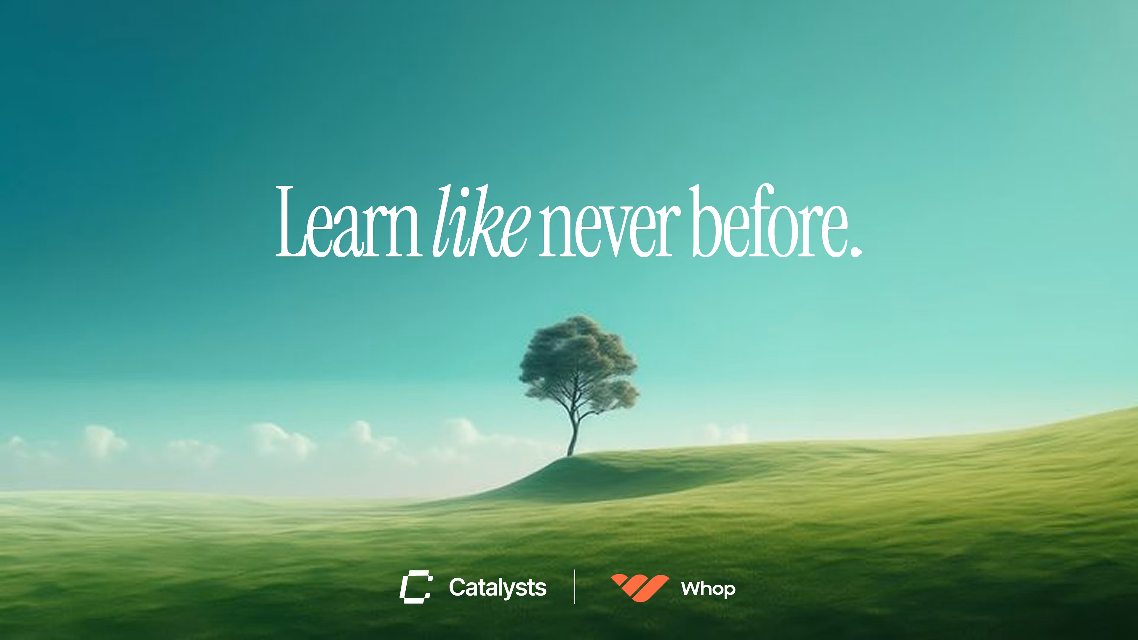 Catalysts