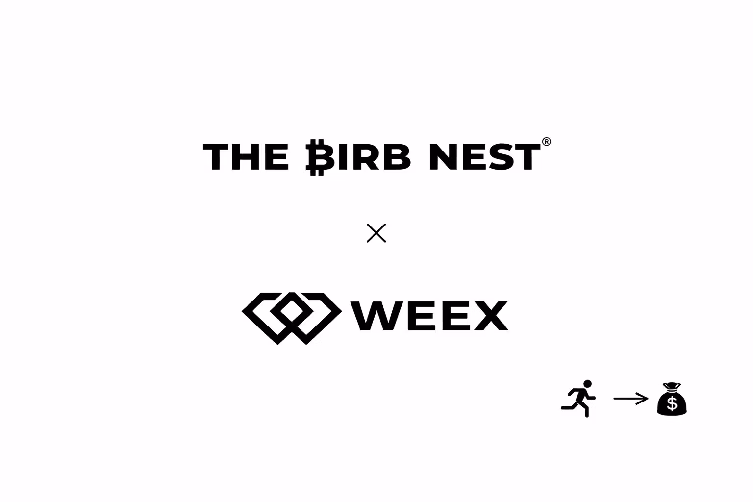 The Birb Nest