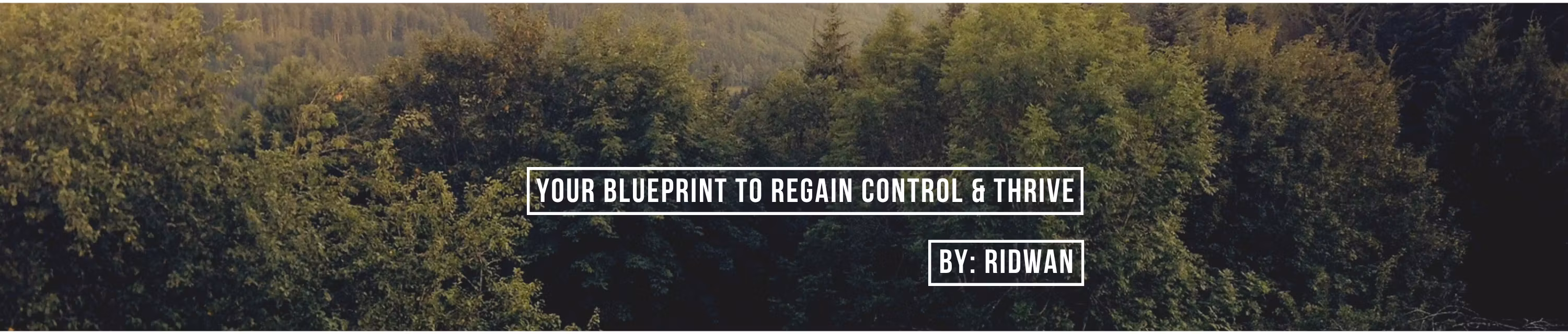 Blueprint for Cancer Recovery