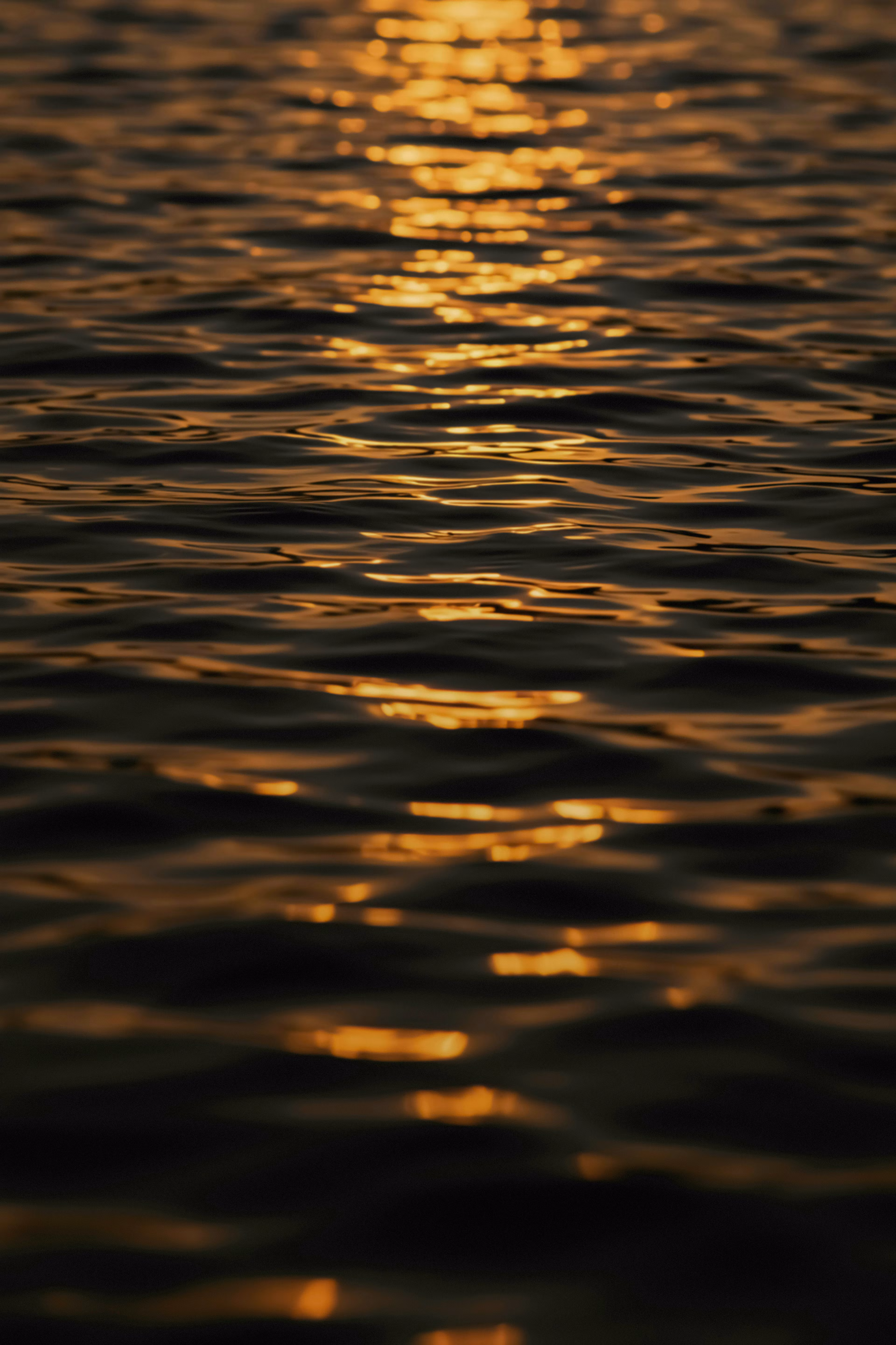 Sabrinas dreams come true 