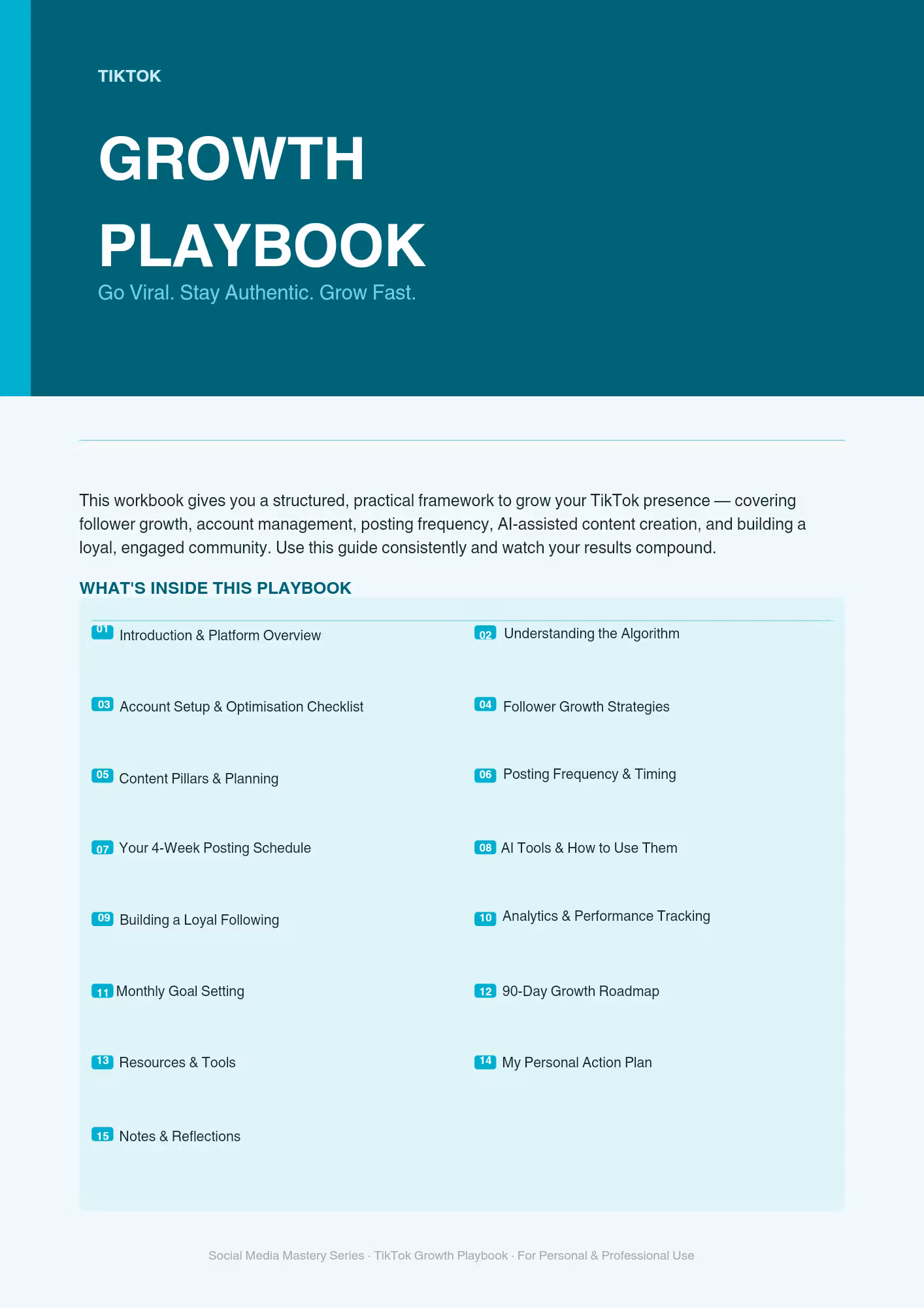 Tik Tok Growth Planner