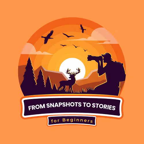 From Snapshots to Stories