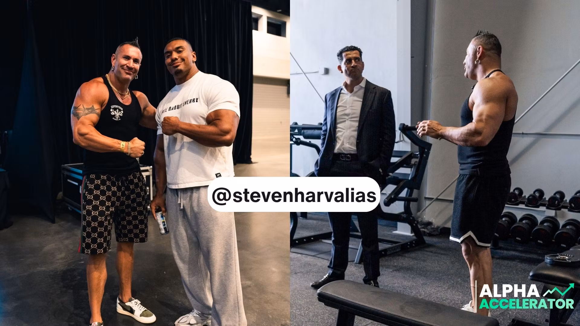 Steven Harvalias Clips
