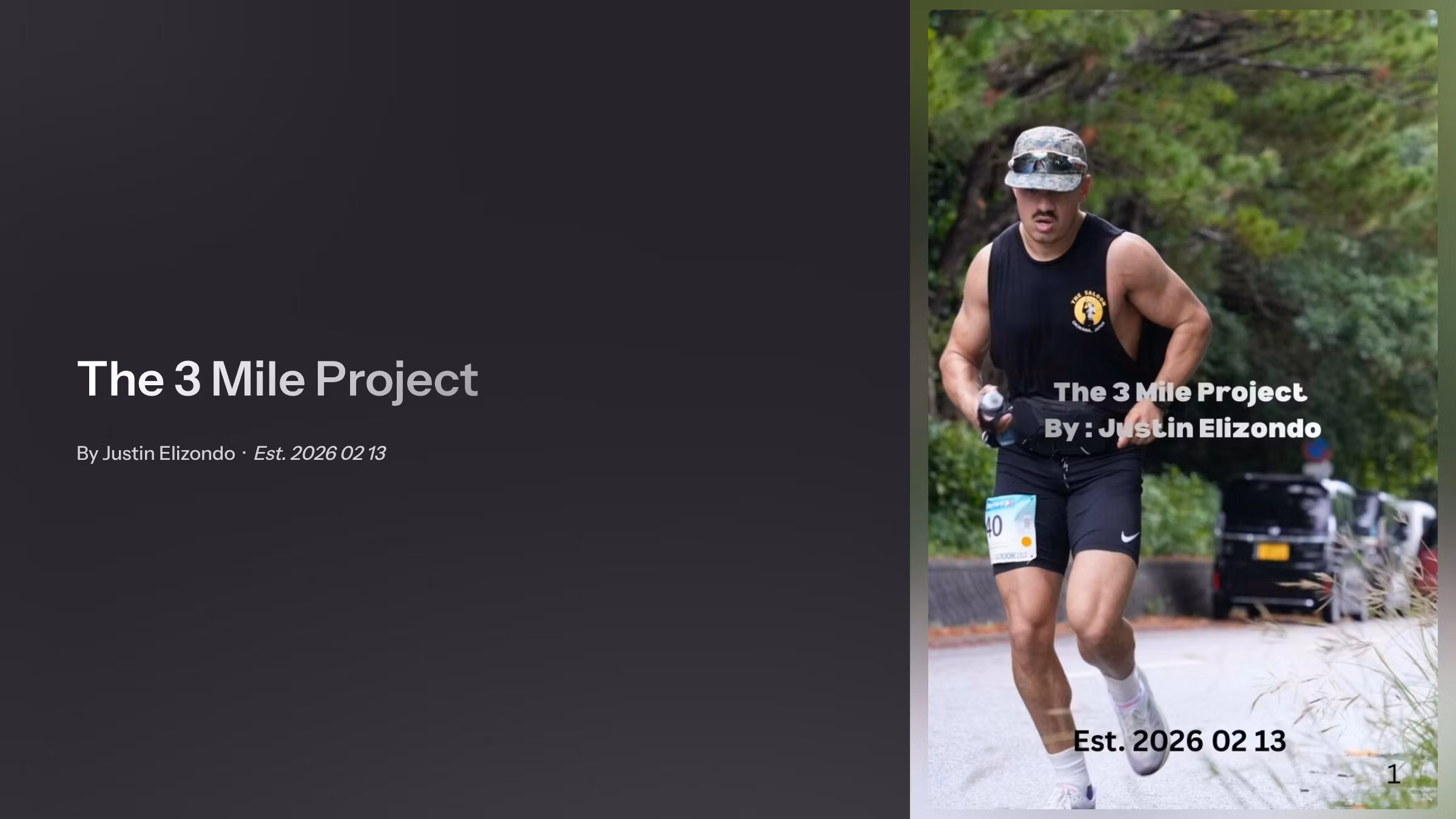 The 3 Mile Project