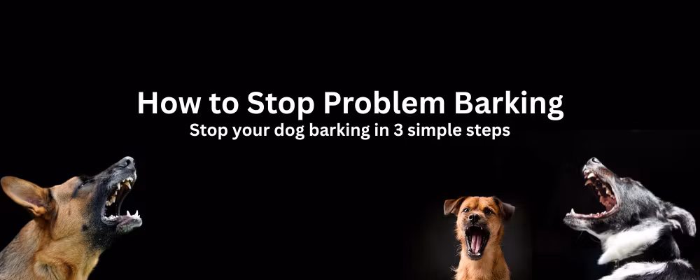Dog Owner Education NZ